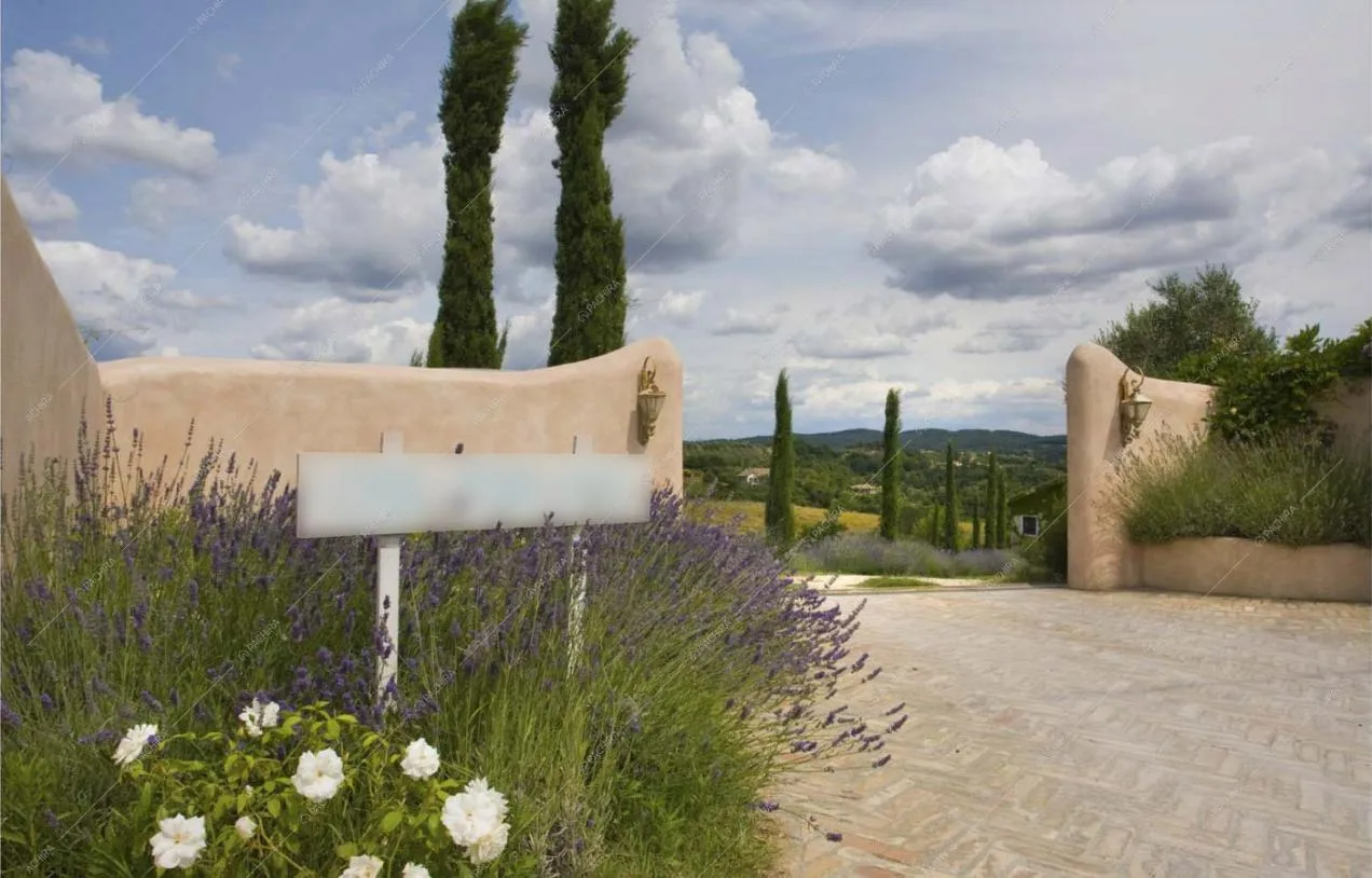 Vialetto di accesso alla location costeggiato da cipressi