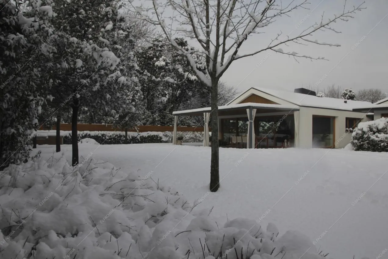 La Location Fatsia ricoperta di neve