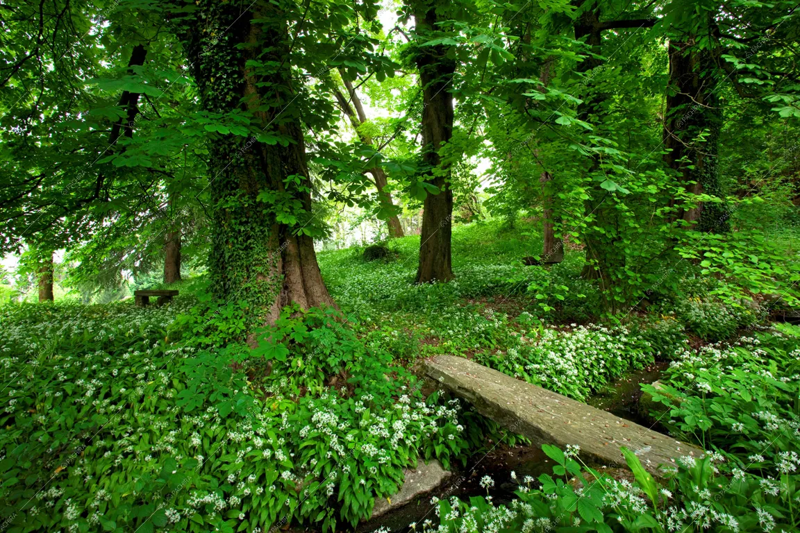 Location Nelumbo dimora storica provincia di Varese 9