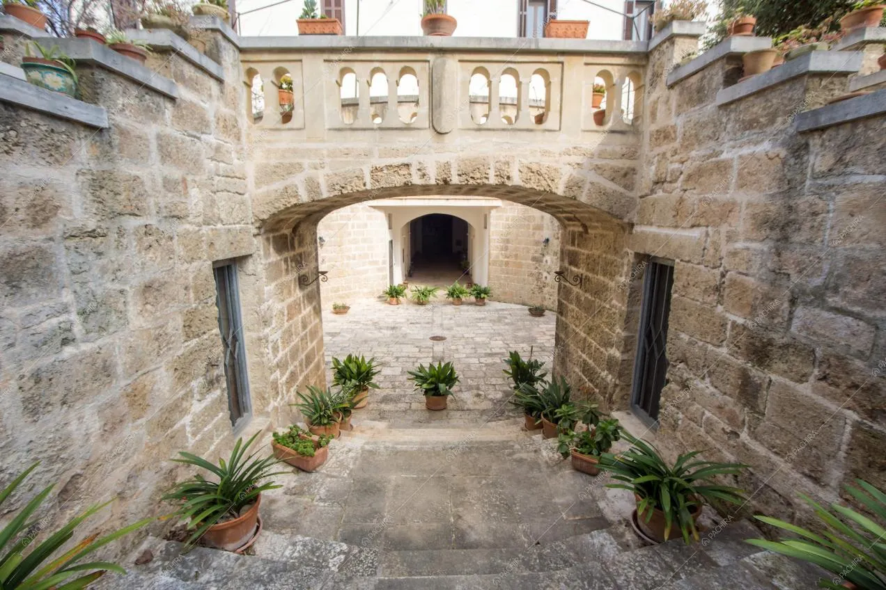 Location Olivagno provincia di Bari 18