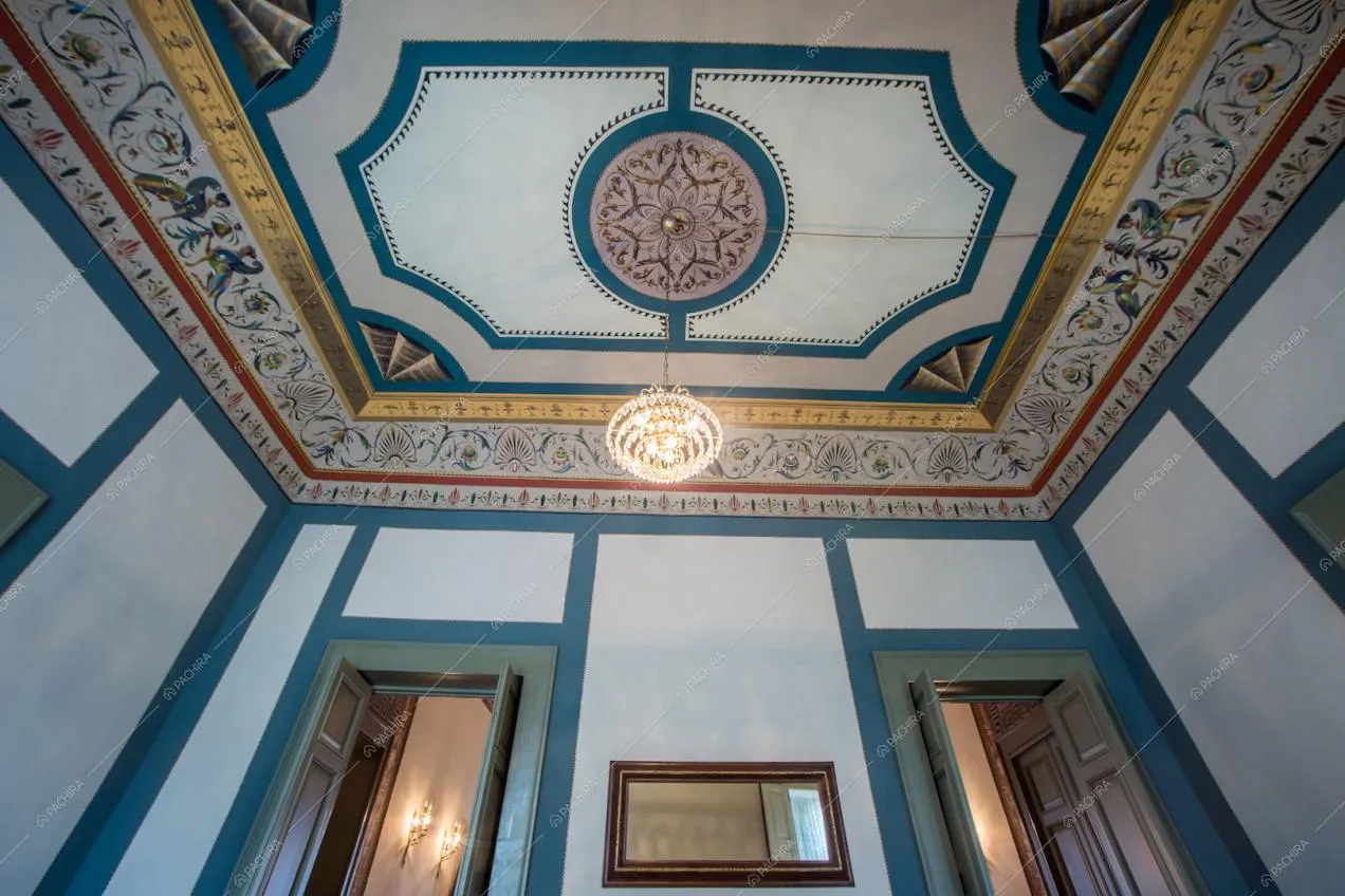 Location Olivagno provincia di Bari 7