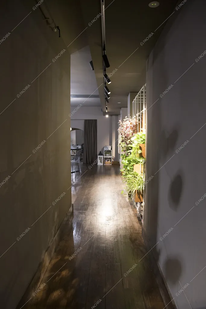 Corridoio, piante e pavimento in parquet