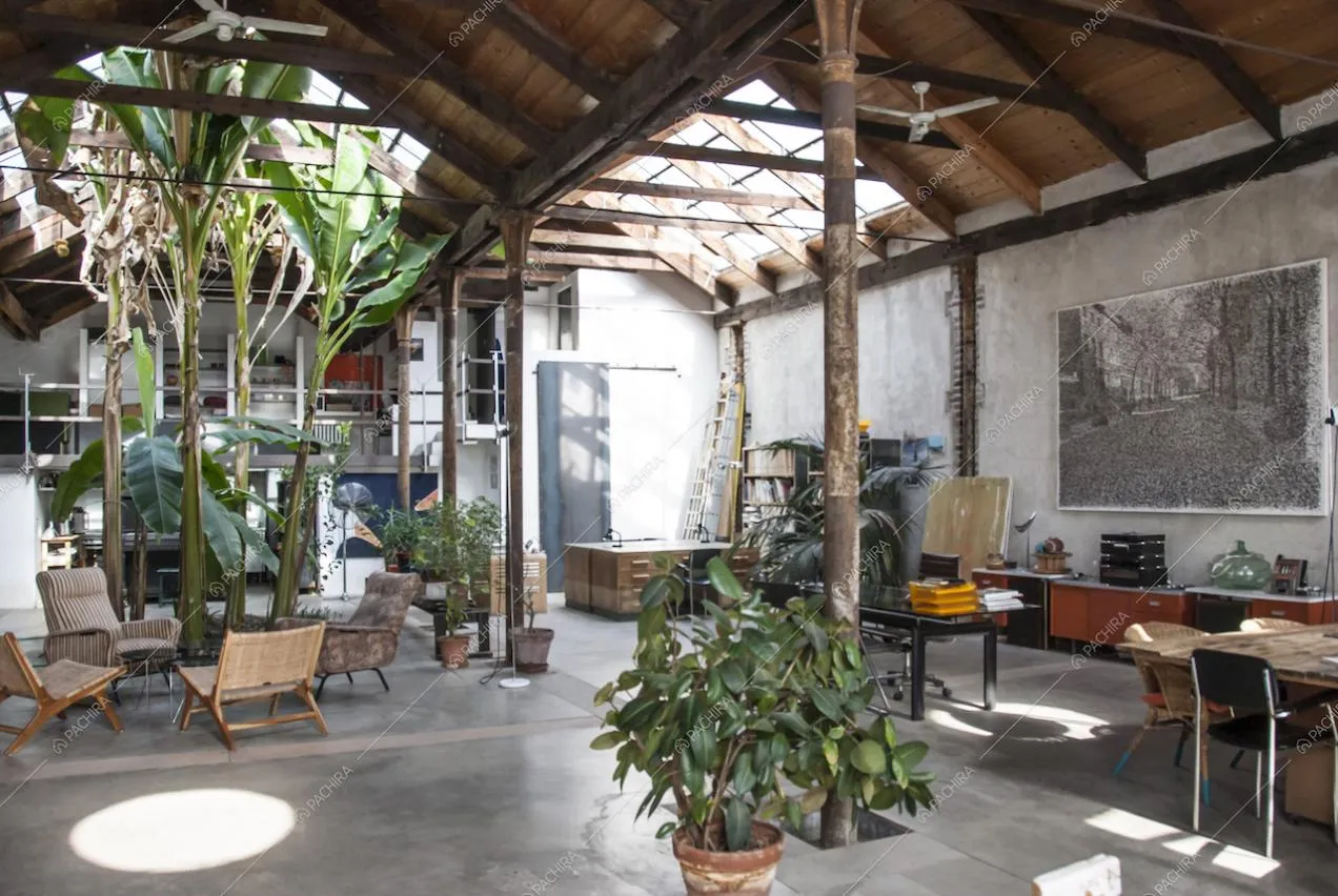 Imponenti banani decorano questo ex spazio industriale