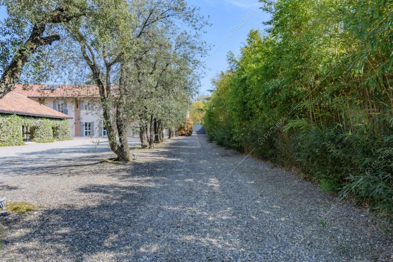 Pavimentazione in ciottoli nel giardino con bambù