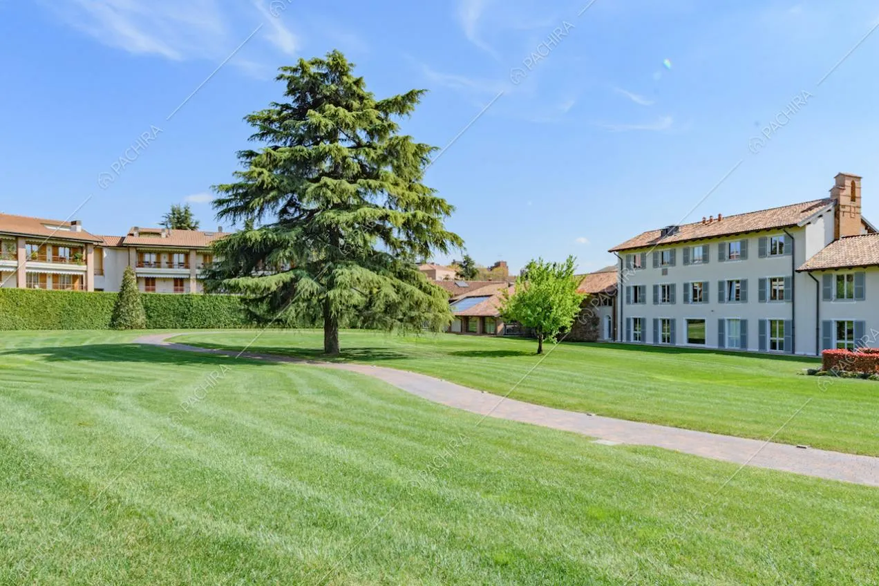 Curato giardino con vialetto, albero sempreverde e vista sulla location