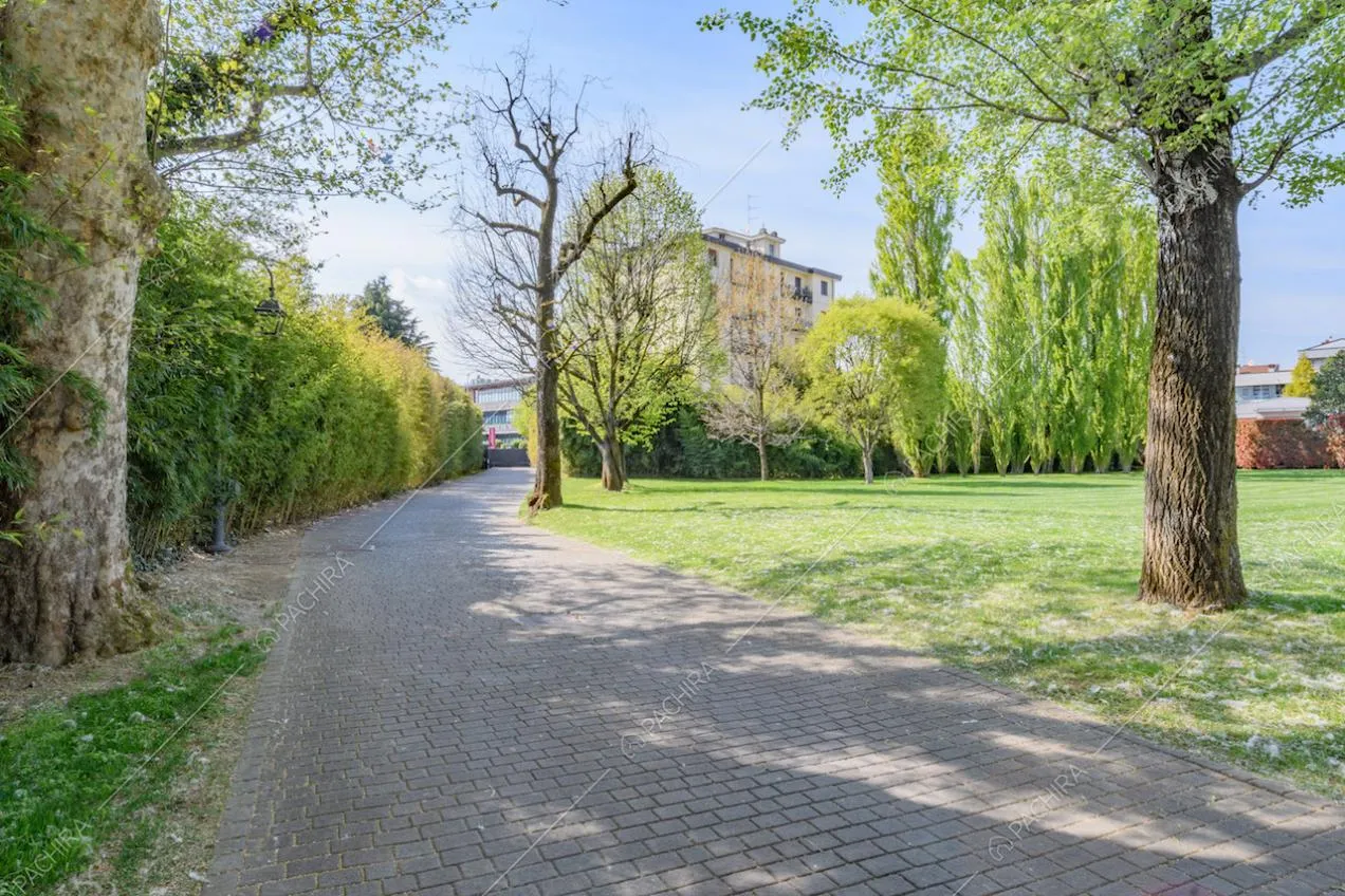 Vialetto nel giardino della location con numerosi alberi e siepi