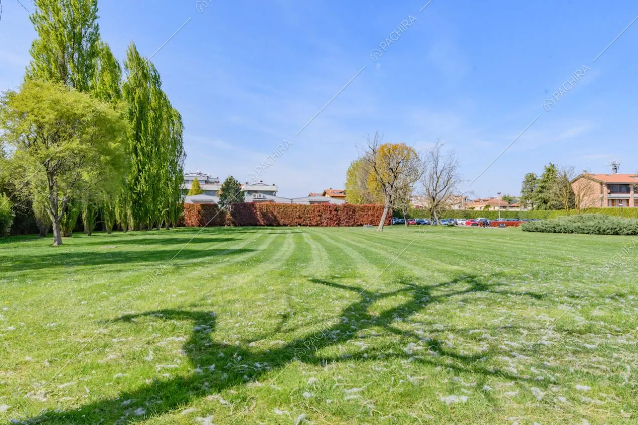 Curato e grande giardino