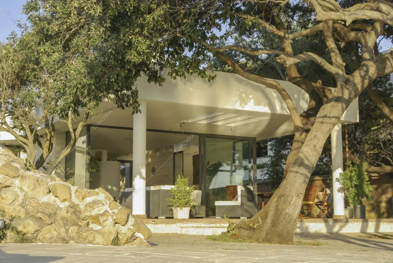 Raperonzolo villa provincia di Roma 5