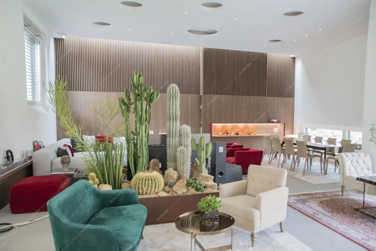 Poltrone nella luminosa sala con cactus nella fioriera da interno e parete in legno
