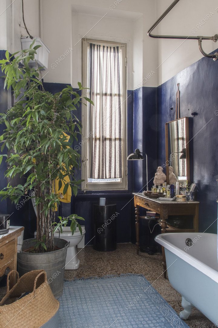 Pareti bicolore in bagno, mobili d'epoca e pianta in vaso