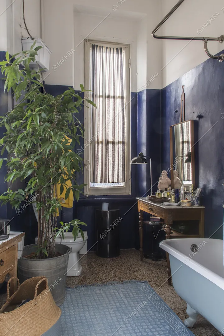 Pareti bicolore in bagno, mobili d'epoca e pianta in vaso