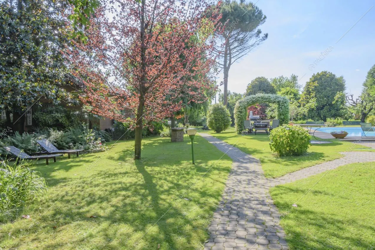 Sdraio sotto gli alberi in giardino, prato e vialetti