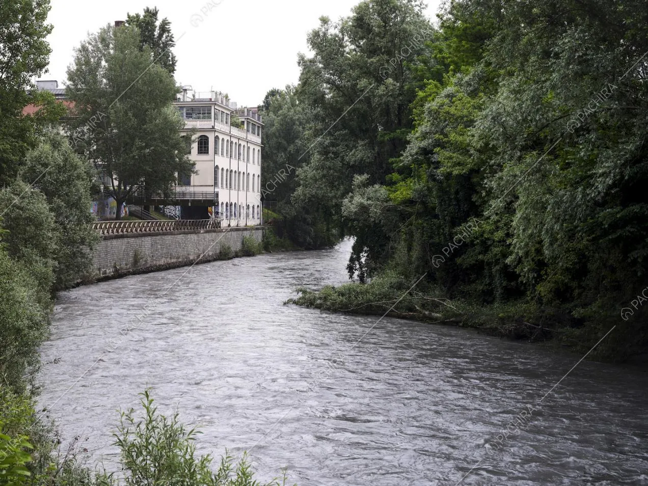 Dalla location vista sul fiume che scorre tra gli alberi