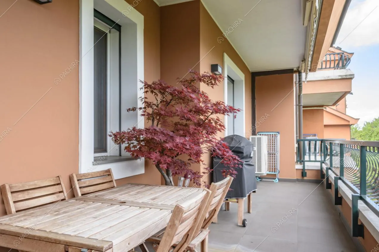 Tavolo in legno con sedie e acero in vaso sul terrazzo