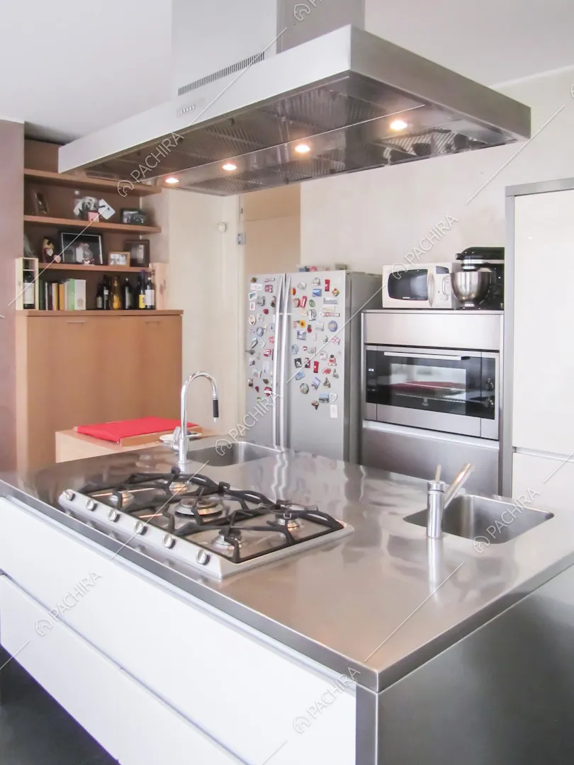 Isola della cucina in acciaio, armadio in legno, frigorifero pieno di calamite