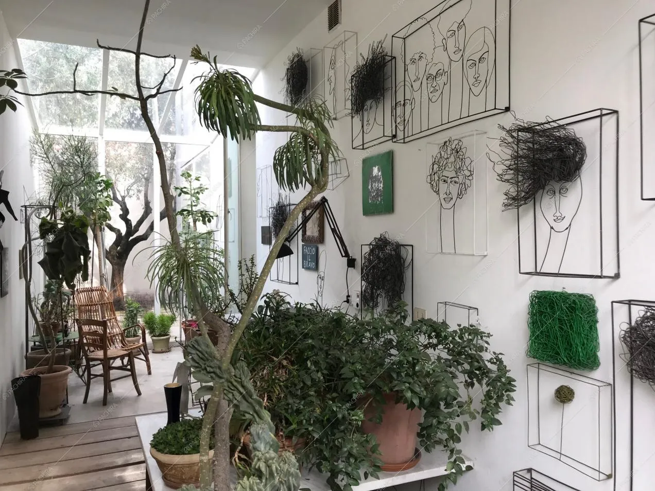 Il giardino d'inverno della Location Wakame
