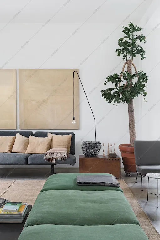 Divani e piante nel living della Location Wakame