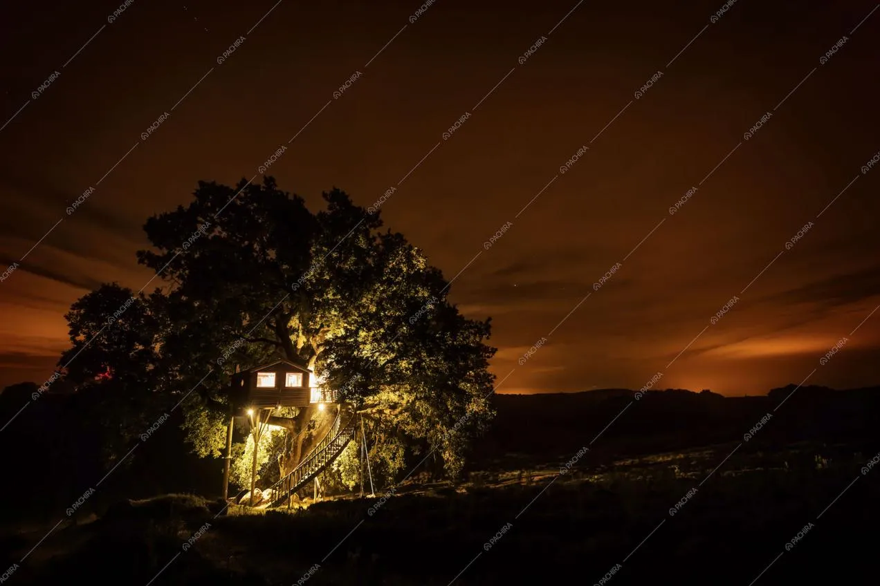 Casa sull'albero illuminata di notte