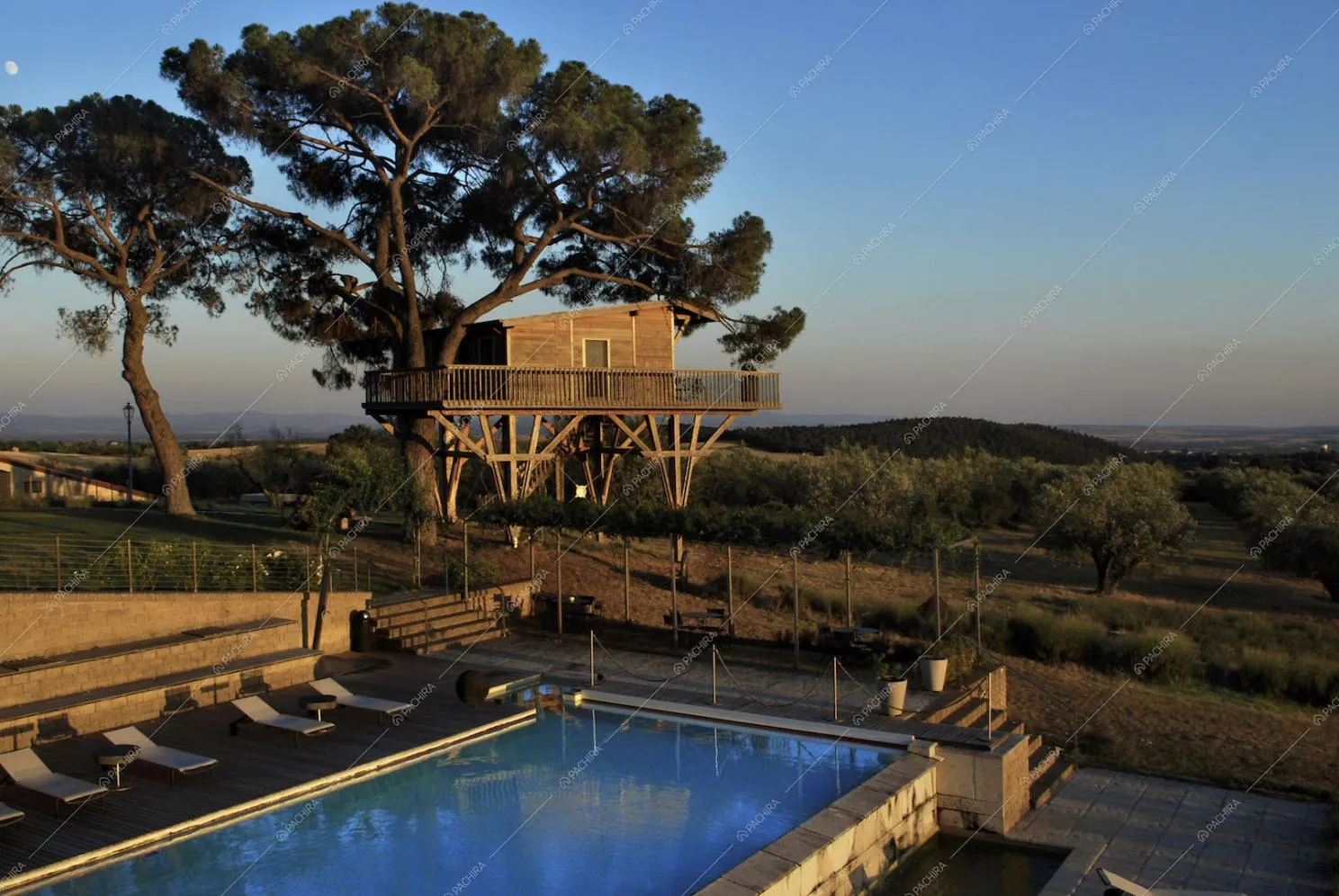 Piscina e casa sull'albero con vista panoramica