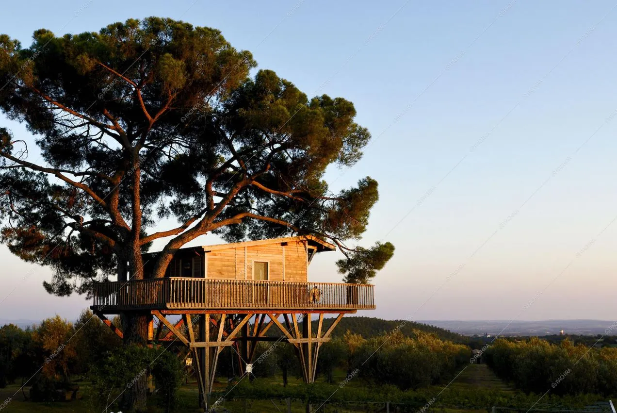 Casa sull'albero con vista panoramica