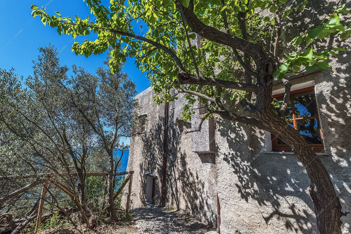 Location Sorbaria villa provincia di Savona 22