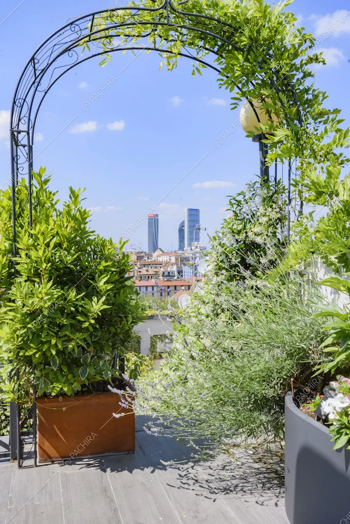 Vista sullo skyline dalla terrazza