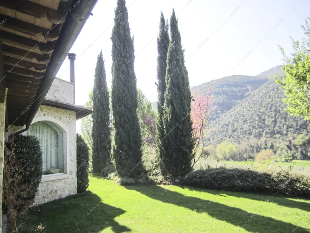 Il giardino e gli alberi della Location Broccolo