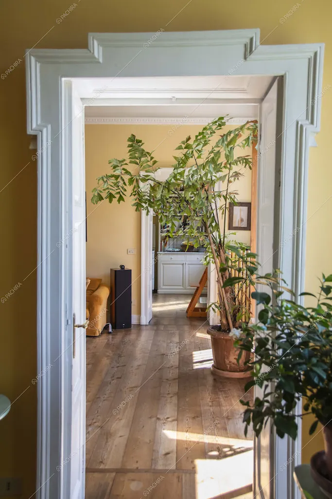 Location Ciclamino villa Milano 34