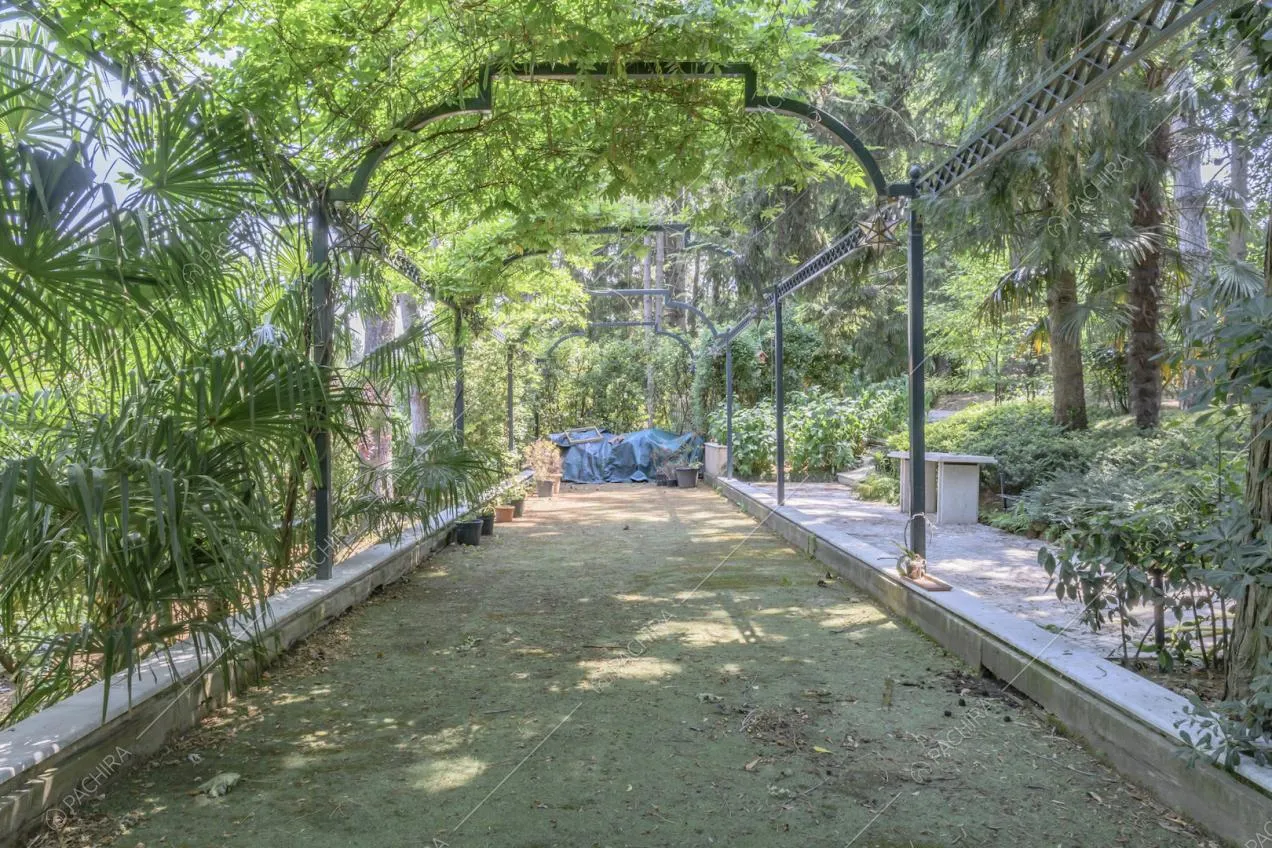 Corridoio circondato da piante in un gazebo