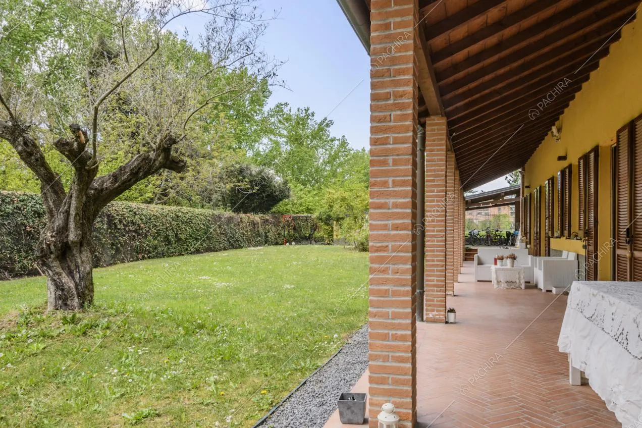 Colonne con mattoni a vista sorreggono il portico e ulivo nel giardino