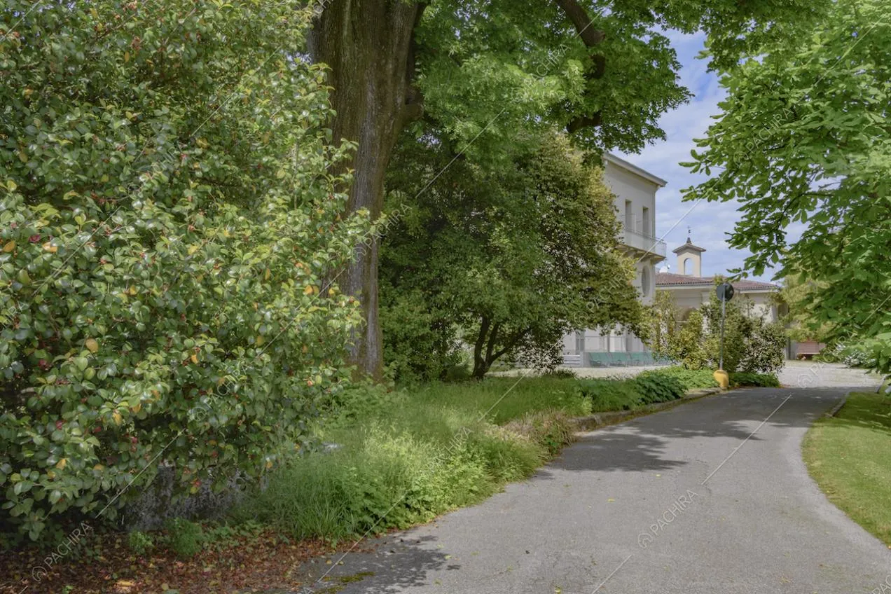 Angolo del parco e viale alberato che conduce alla villa