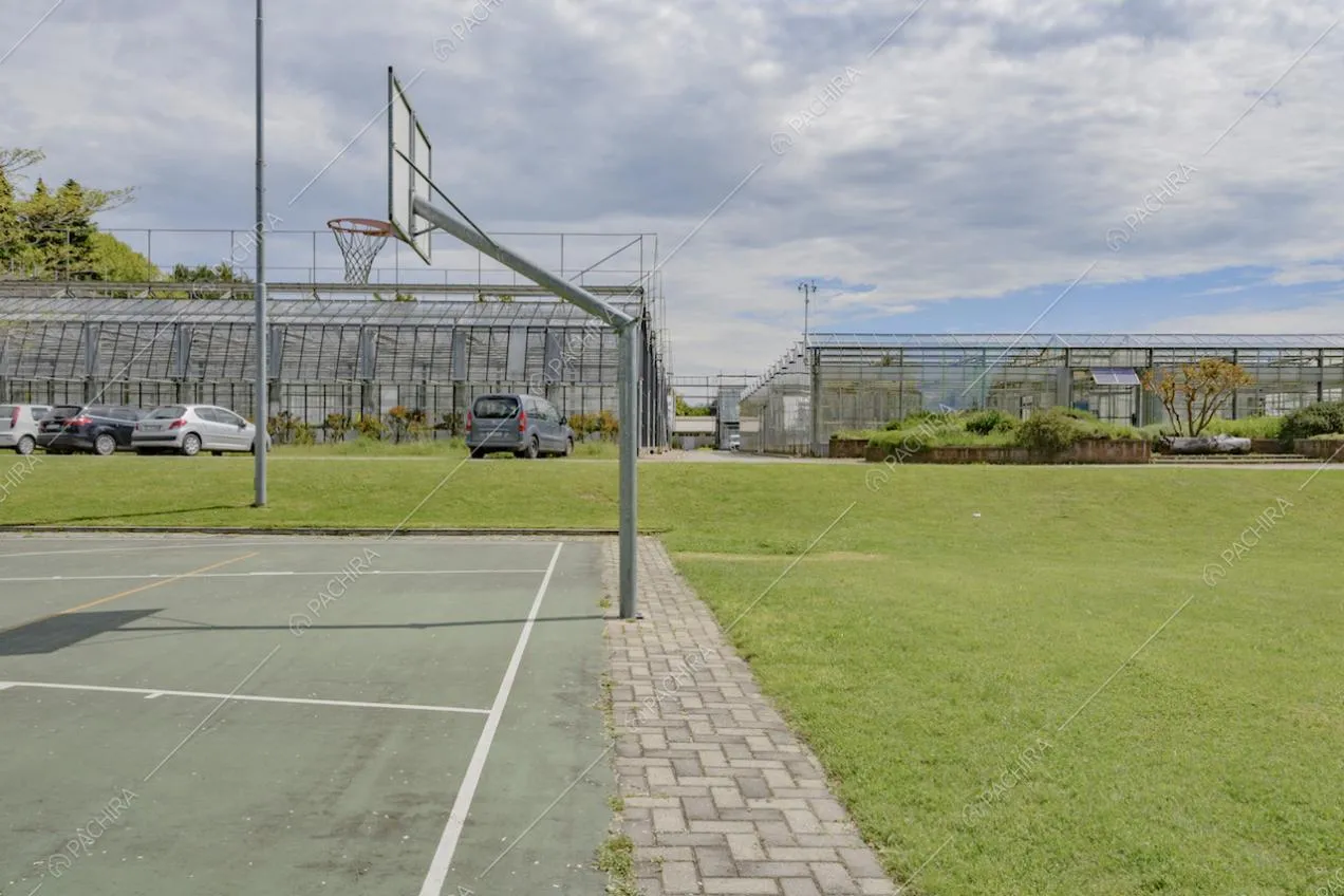 Canestro da basket nel campo all'aperto e parcheggio