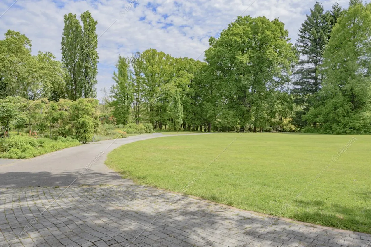 Pavimentazione in pietra sul vialetto all'interno del parco