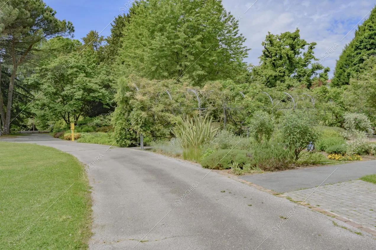 Viale tra la vegetazione del giardino della Location Lonicera