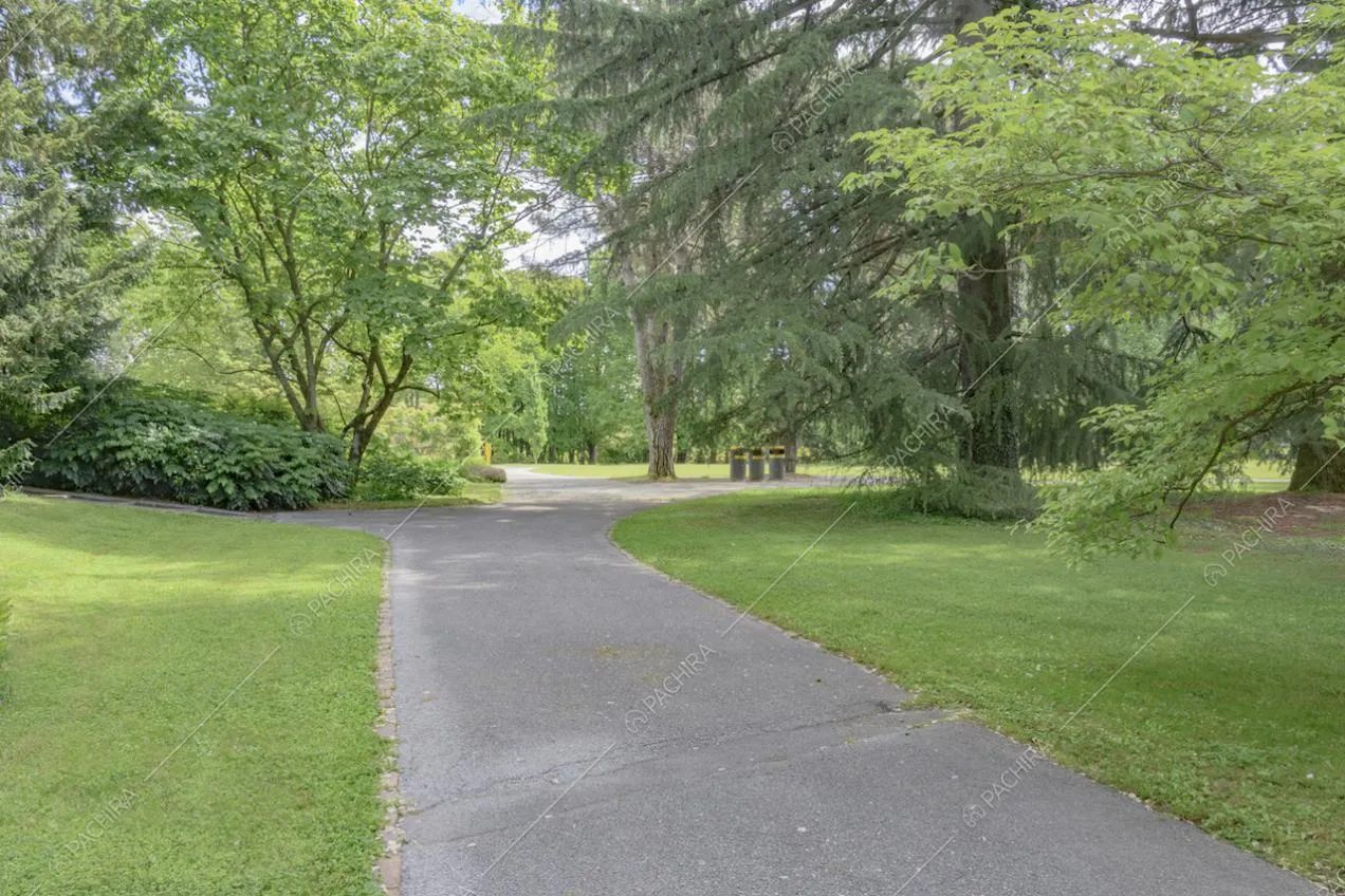 Viale che attraversa il parco e alberi imponenti