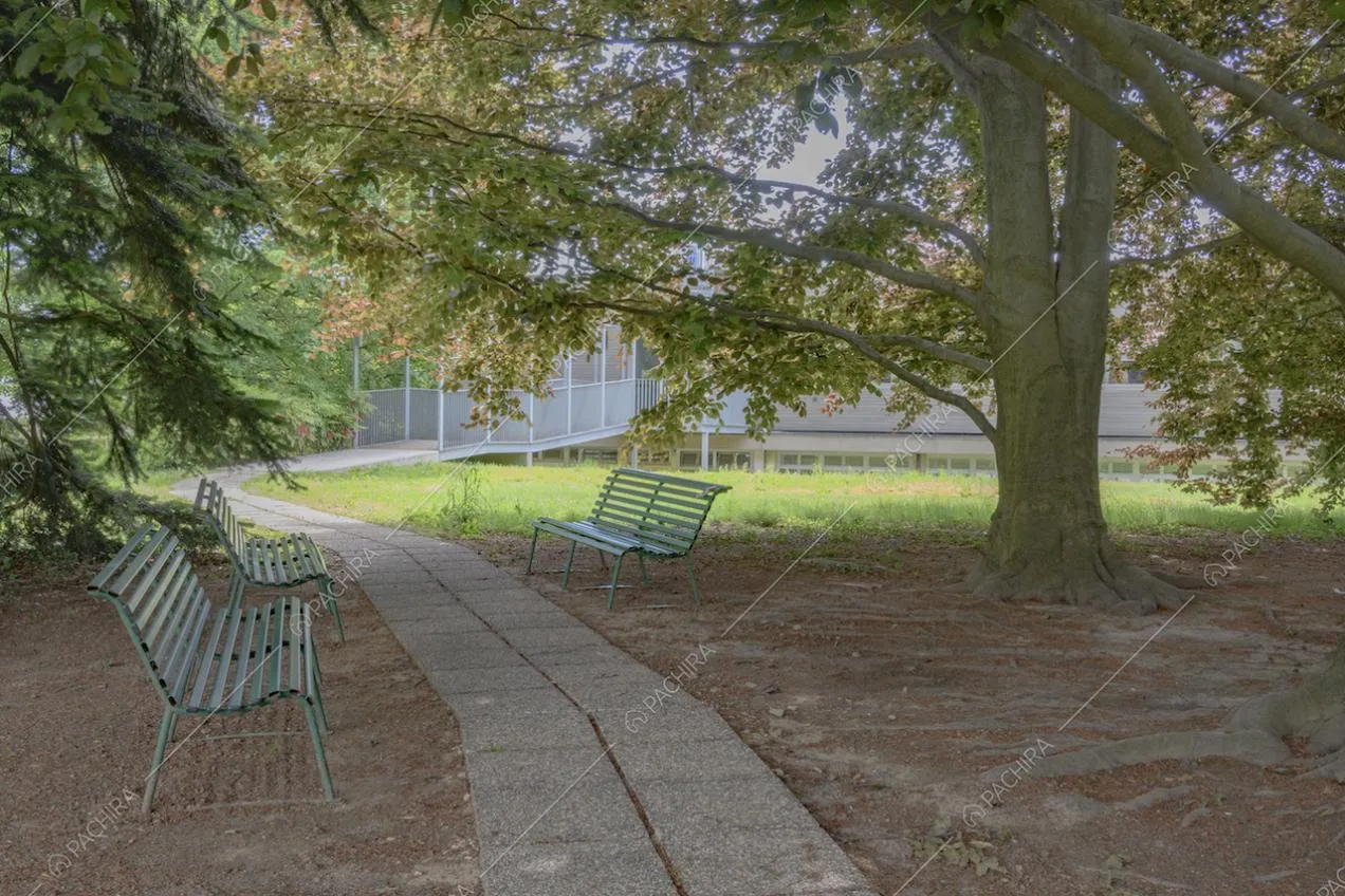 Panchine all'ombra degli alberi maestosi del parco