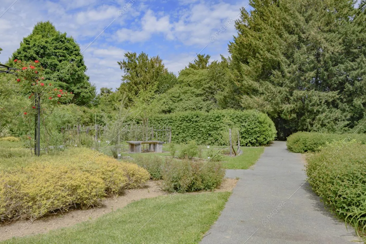 Angolo di parco con panca in pietra e orticello