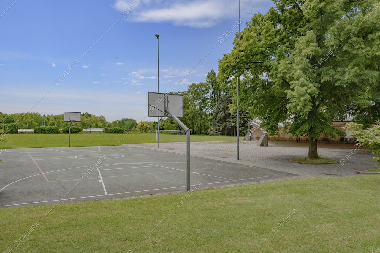 Campo da basket circondato da prato e alberi