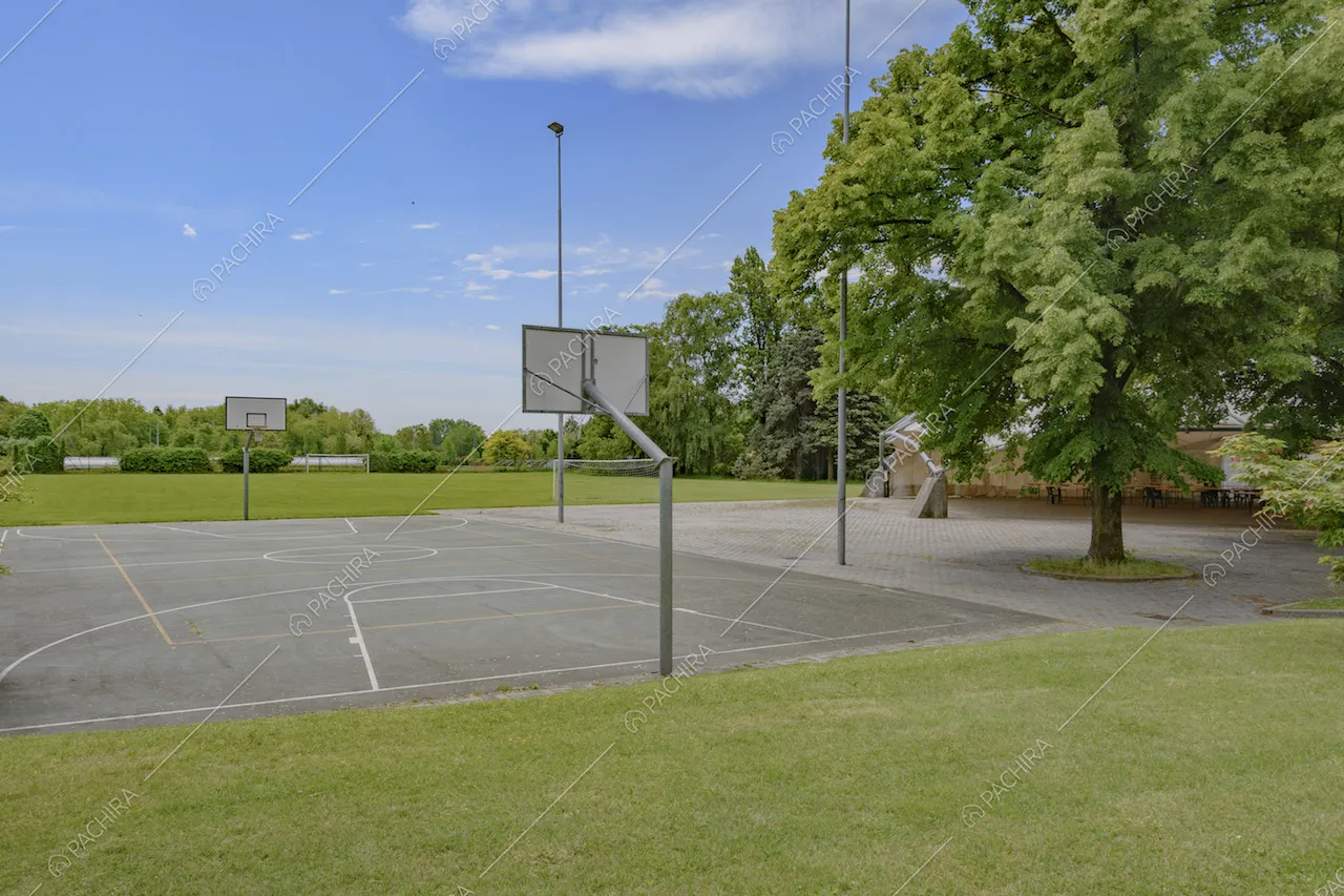 Campo da basket circondato da prato e alberi