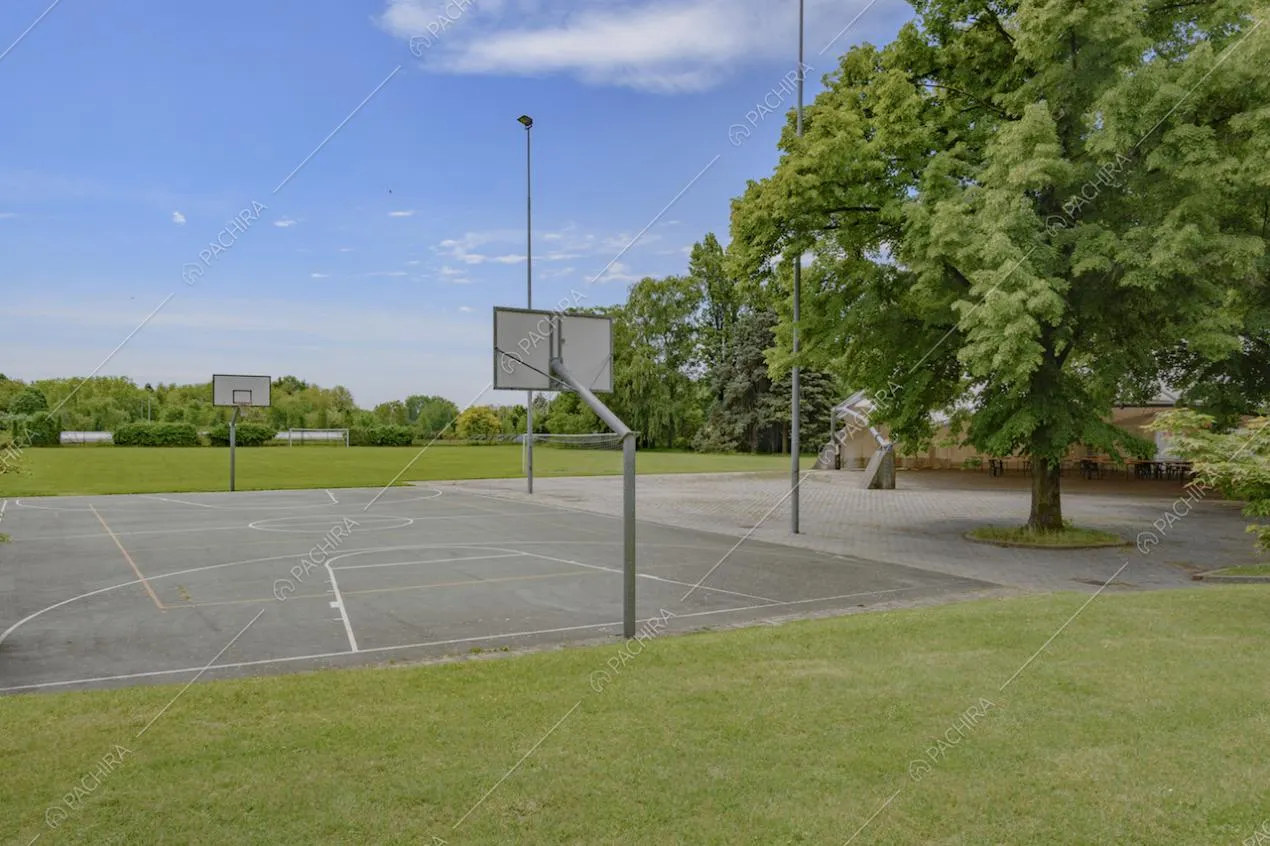Campo da basket circondato da prato e alberi