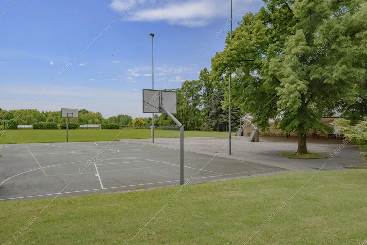 Campo da basket circondato da prato e alberi
