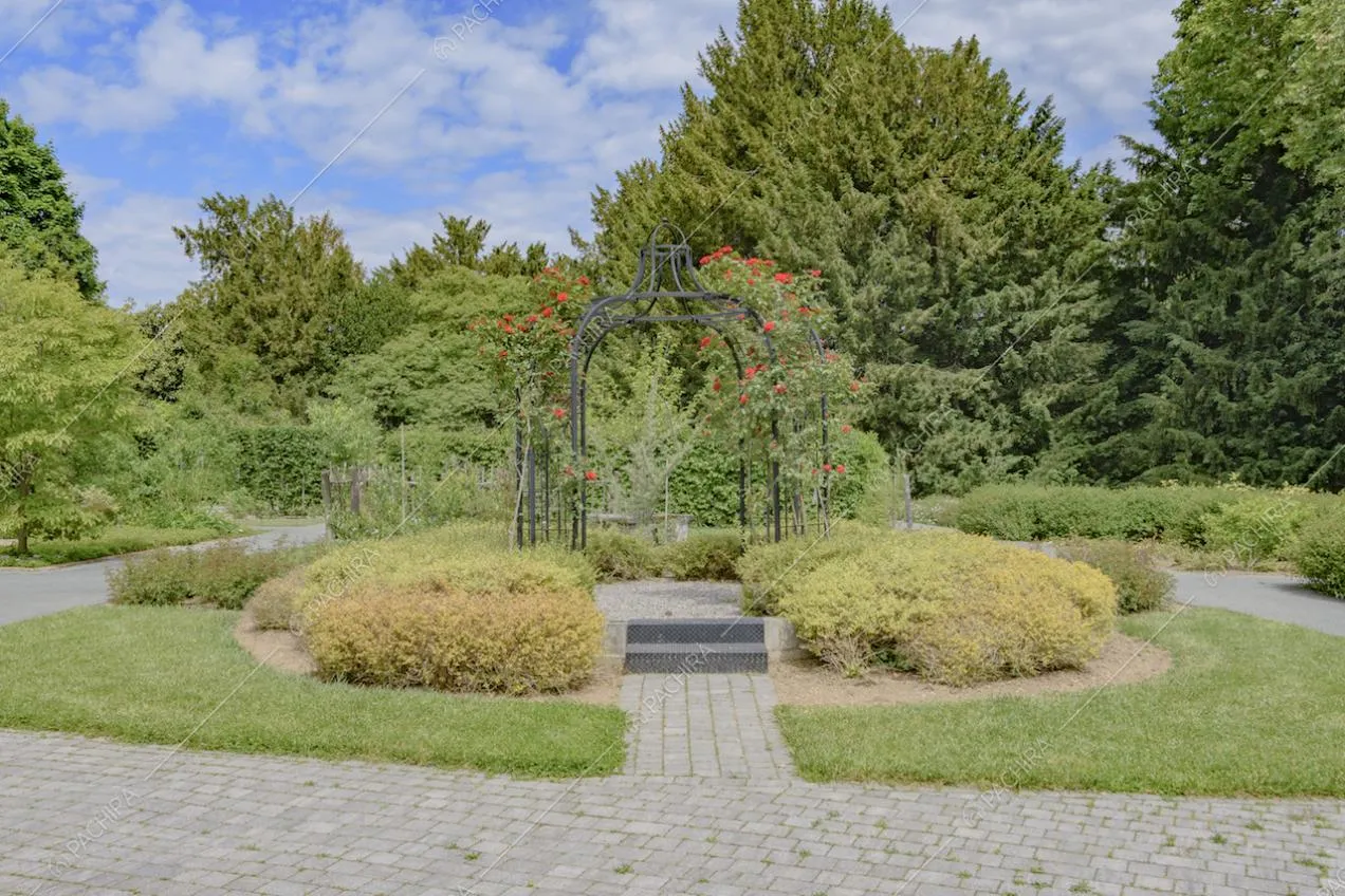 Gazebo in ferro con rose rampicanti