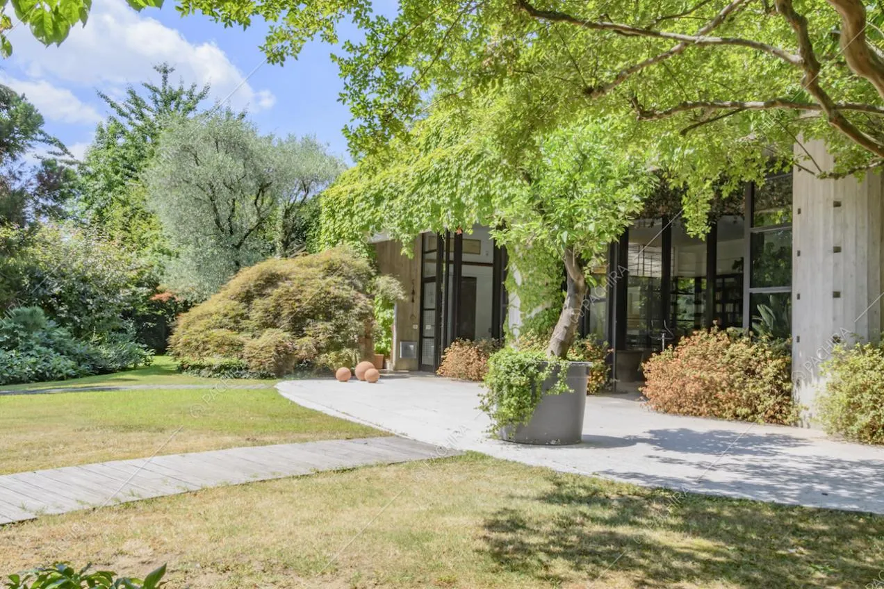 Dettaglio del giardino con piante intorno alla villa