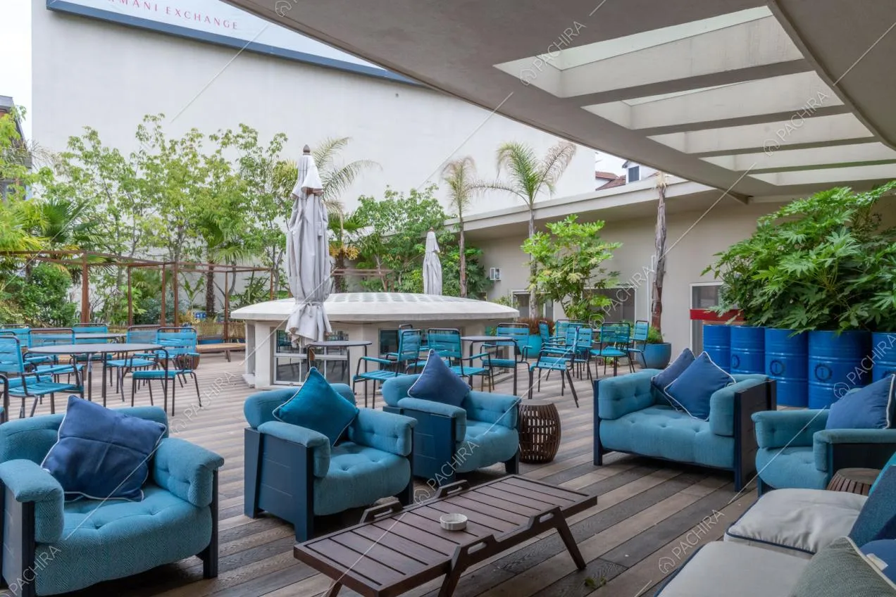 Veranda sulla terrazza con divanetti blu e piante
