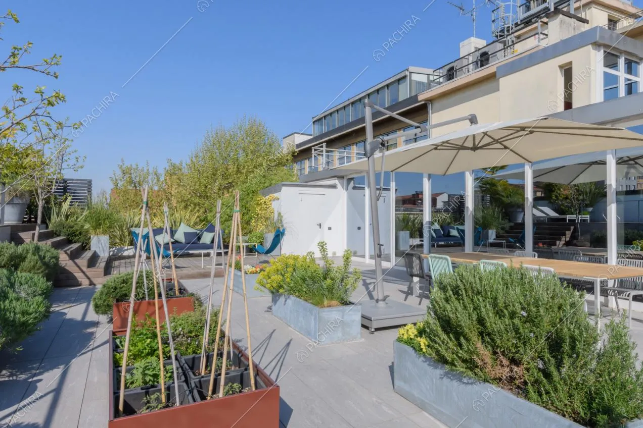 Piante sulla grande terrazza con tavolo da pranzo da esterni e ombrellone