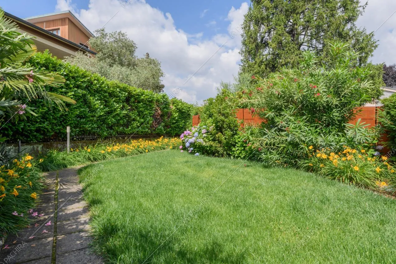 Giardino con siepi, piante e vialetto
