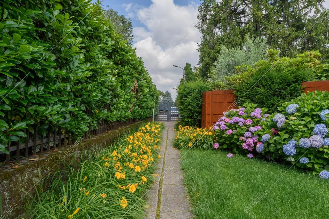 Grande giardino con aiuole, siepi e vialetto