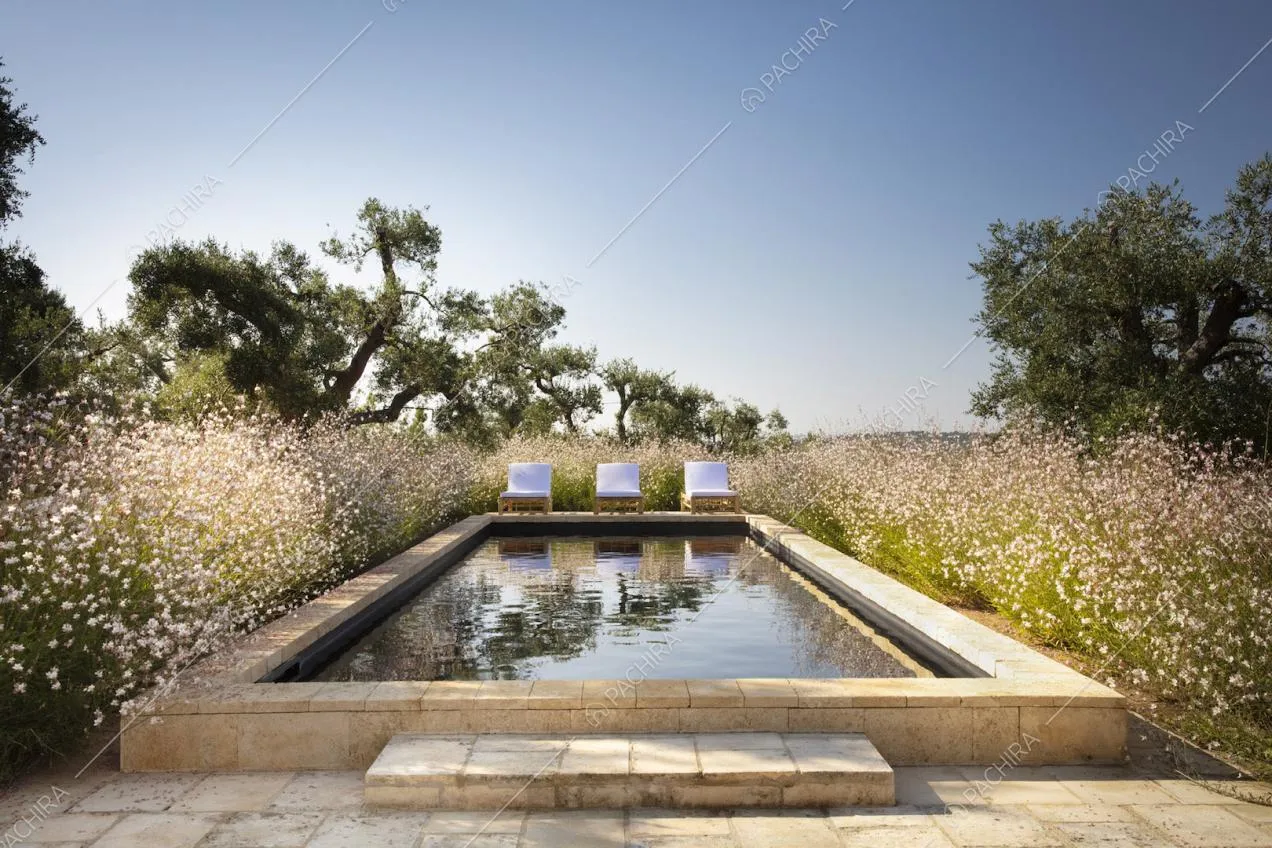 Piscina con lettini bianchi in mezzo agli arbusti
