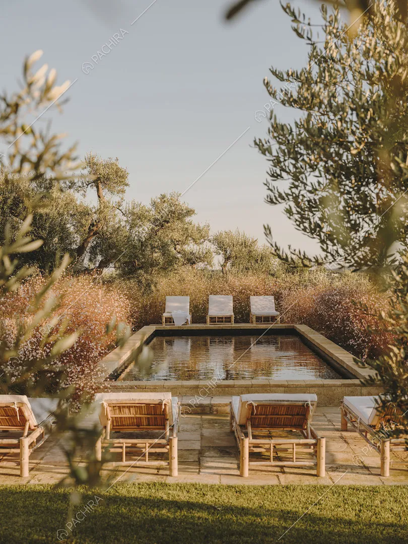 Piscina con lettini circondata da arbusti