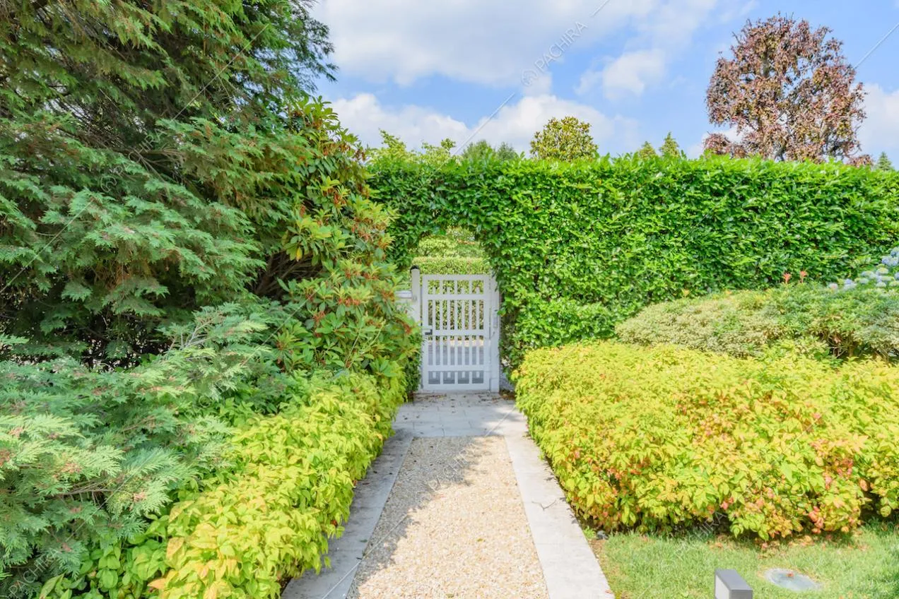 Vialetto in ciottoli nel giardino della villa